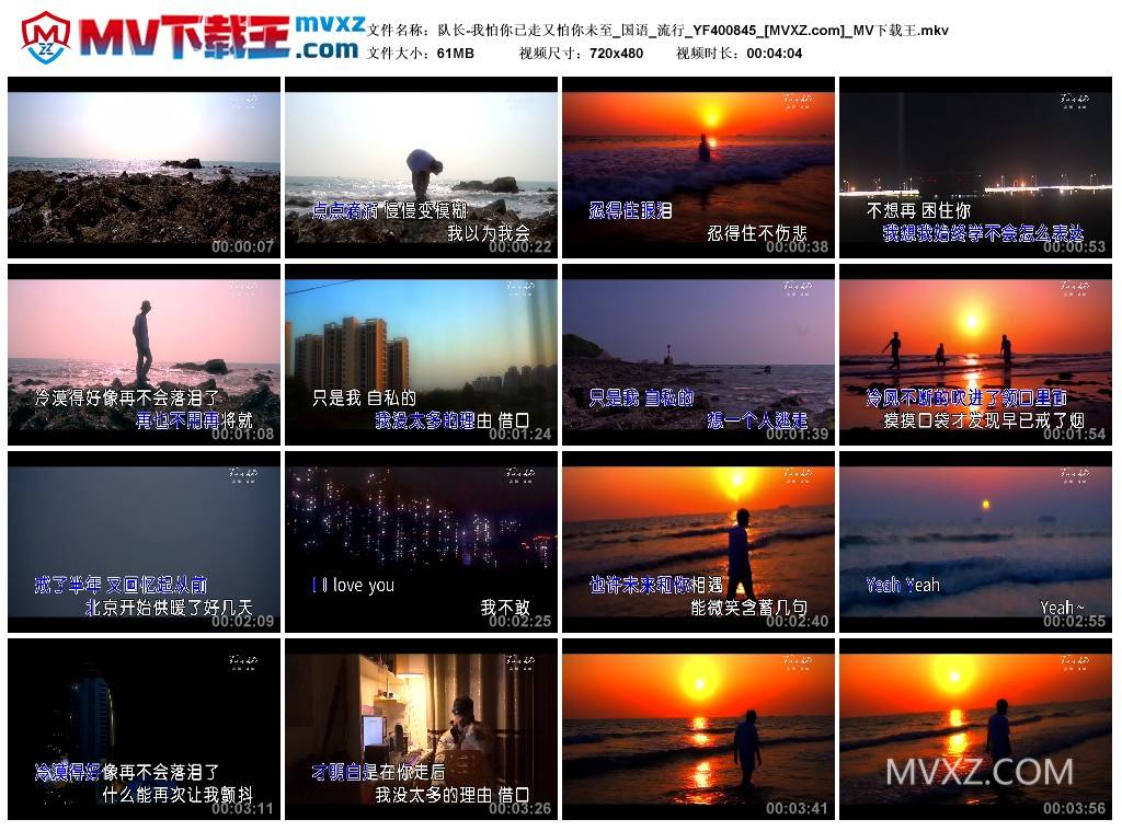 队长-我怕你已走又怕你未至_国语_流行_YF400845